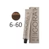 Крем-краска для седых волос Schwarzkopf Professional Igora Royal Absolutes 6-60 темно-русый 60 мл (4045787282436)