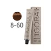 Крем-краска Schwarzkopf Professional Igora Royal Absolutes 8-60 Светло-русый шоколадный натуральный 60 мл (4045787380330)