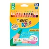 Карандаши цветные BIC Evolution 12 цветов (3086124001632) Карандаши цветные BIC Evolution 12 цветов (3086124001632)