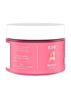 Маска для поврежденных волос Yope 250 мл (5903760203061) Маска для поврежденных волос Yope 250 мл (5903760203061)