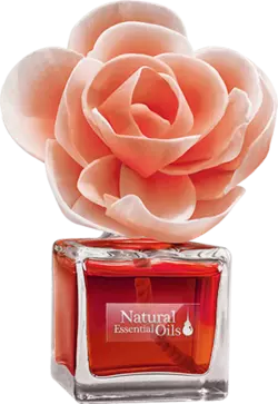 Аромадиффузор Elix Classic Rose цветок из соли 100 мл (5906074152445) Аромадиффузор Elix Classic Rose цветок из соли 100 мл (5906074152445)