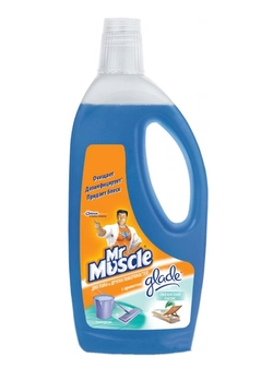 Средство для мытья полов и других поверхностей Mr Muscle Океанский оазис 750 мл (4823002005745) Средство для мытья полов и других поверхностей Mr Muscle Океанский оазис 750 мл (4823002005745)