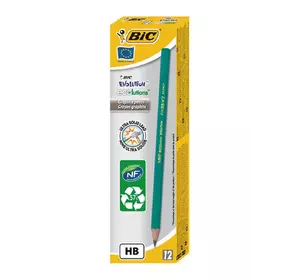 Набор карандашей BIC Evolution HB зеленый (12 шт) (3270220004608) Набор карандашей BIC Evolution HB зеленый (12 шт) (3270220004608)