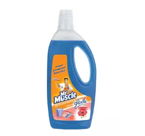 Средство для мытья полов и других поверхностей Mr Muscle После дождя 750 мл (4823002005004) Средство для мытья полов и других поверхностей Mr Muscle После дождя 750 мл (4823002005004)