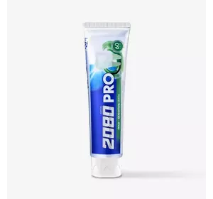 Зубная паста 2080 Pro Mild мягкая защита 125г (8801046898260) Зубная паста 2080 Pro Mild мягкая защита 125г (8801046898260)