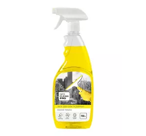 Средство Biossot NeoCleanPro Свежий лимон для стекла и зеркал 750 мл (4820255110721) Средство Biossot NeoCleanPro Свежий лимон для стекла и зеркал 750 мл (4820255110721)